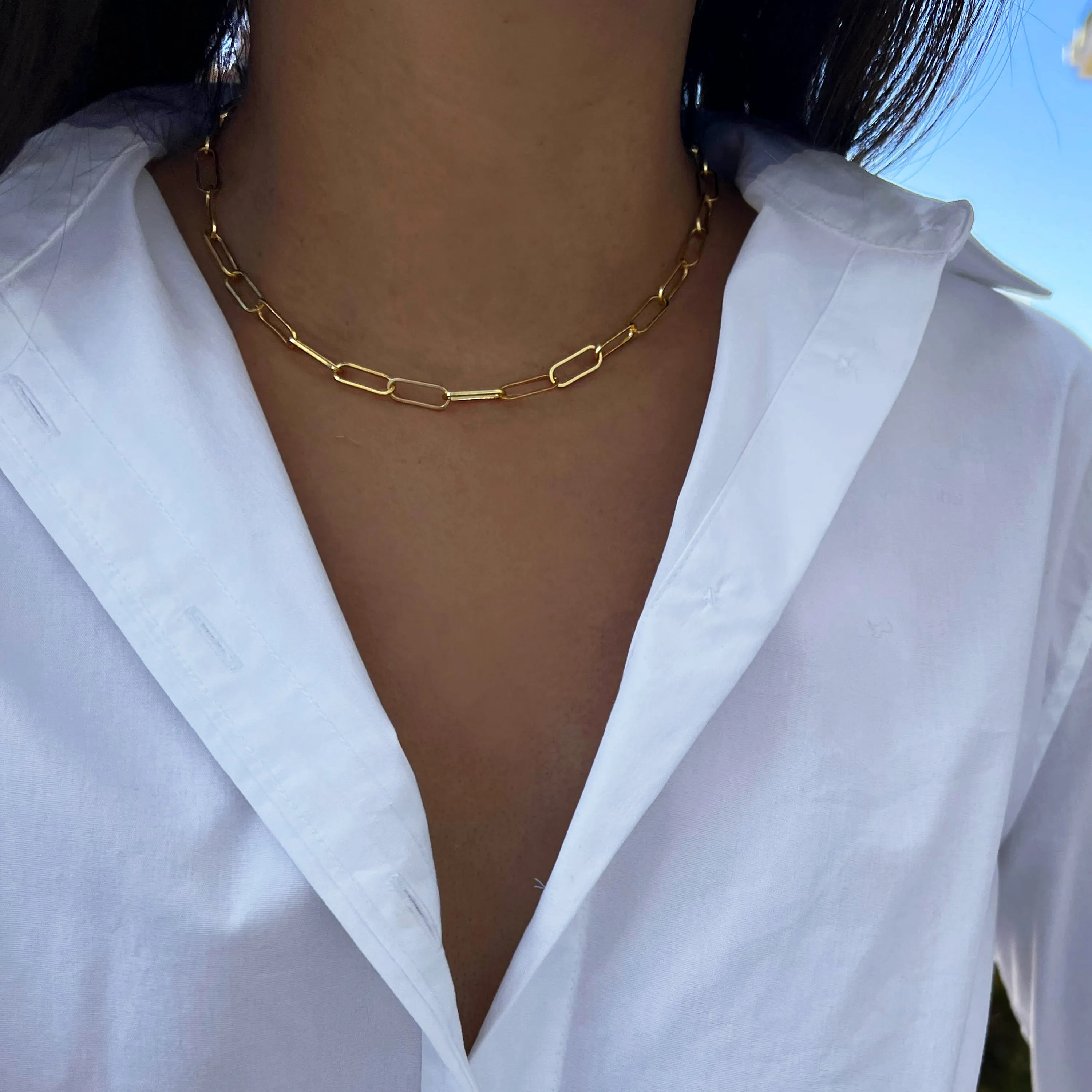 FOUR BLESSINGS Lucky Charm Coin Pendant Link Chain Necklace