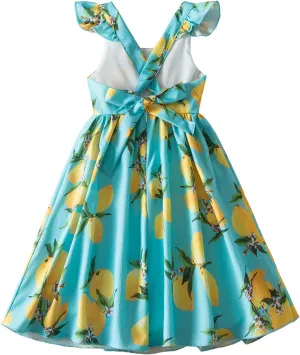 HNXDYY Little Girl Tutu Dress Ruffle Summer Holiday Casual Princess Dresses